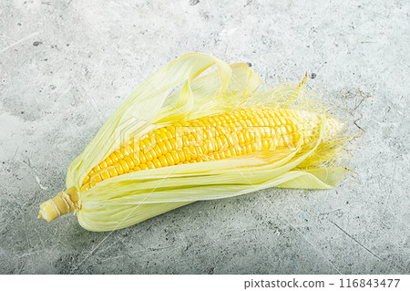 Raw sweet ripe yellow Corn Raw sweet ripe yellow Corn 116843477