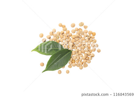 PNG, Soy beans, isolated on white background PNG, Soy beans, isolated on white background 116843569