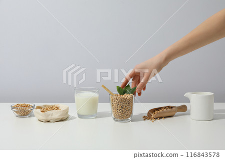 Soy and milk, concept of healthy food and drink Soy and milk, concept of healthy food and drink 116843578