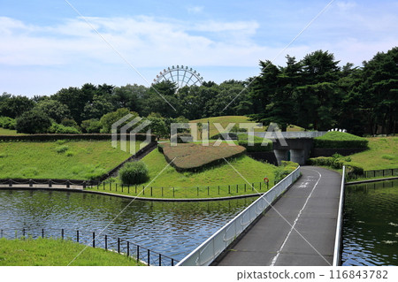 日立海濱公園的西池和摩天輪 116843782