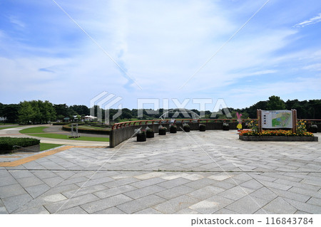 View from the West Gate of Hitachi Seaside Park 116843784