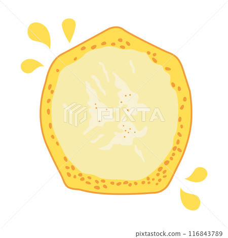 Sliced Fresh Lemon Orange Citrus Fruit Healthy Nutrition Vector Illustration Sliced Fresh Lemon Orange Citrus Fruit Healthy Nutrition Vector Illustration 116843789