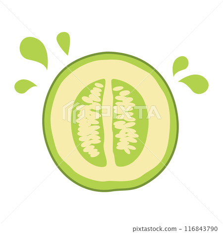 Sliced Fresh Melon Fruit Healthy Nutrition Vector Illustration Sliced Fresh Melon Fruit Healthy Nutrition Vector Illustration 116843790