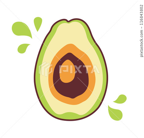 Sliced Fresh Avocado Fruit Healthy Nutrition Vector Illustration 116843802