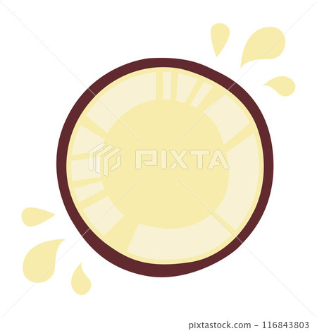 Sliced Fresh Coconut Fruit Healthy Nutrition Vector Illustration 116843803