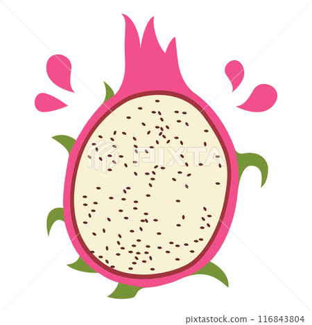 Sliced Fresh Dragon Fruit Healthy Nutrition Vector Illustration 116843804