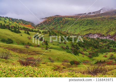 （群馬縣）志賀草津路（澤中街道）山谷中的秋葉 116843971