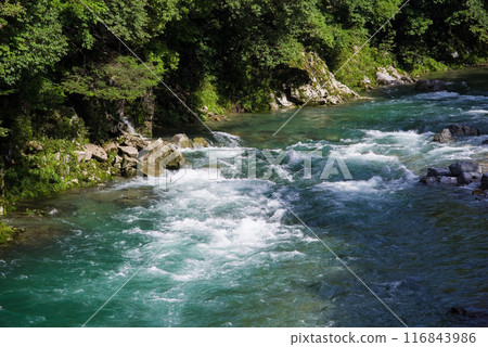 Clear summer stream (Itadori River, Gifu Prefecture) 116843986