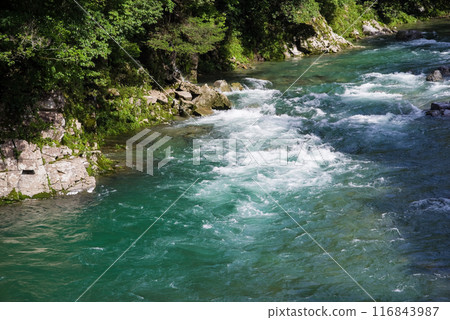 Clear summer stream (Itadori River, Gifu Prefecture) 116843987