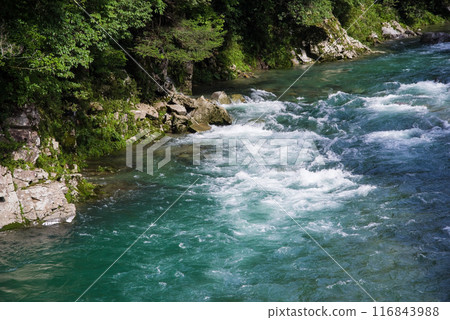 Clear summer stream (Itadori River, Gifu Prefecture) 116843988
