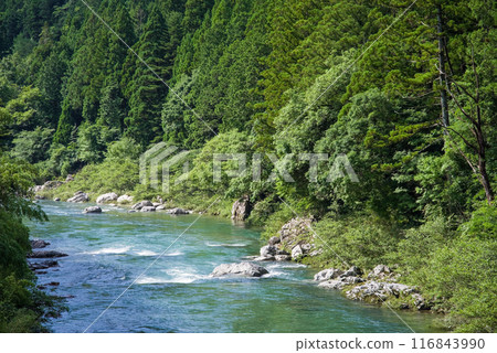 Clear summer stream (Itadori River, Gifu Prefecture) 116843990