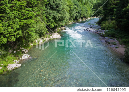 Clear summer stream (Itadori River, Gifu Prefecture) 116843995