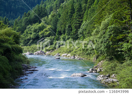 Clear summer stream (Itadori River, Gifu Prefecture) Clear summer stream (Itadori River, Gifu Prefecture) 116843996