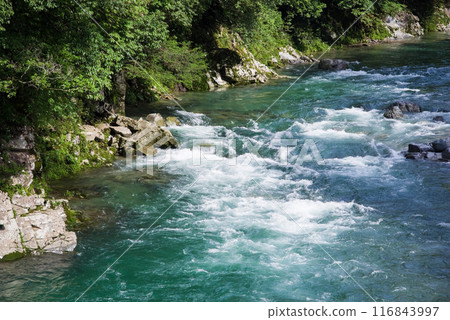 Clear summer stream (Itadori River, Gifu Prefecture) 116843997