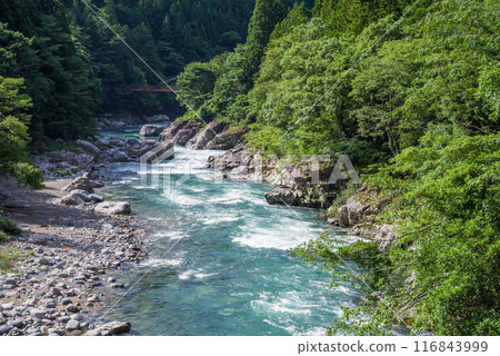 Clear summer stream (Itadori River, Gifu Prefecture) 116843999