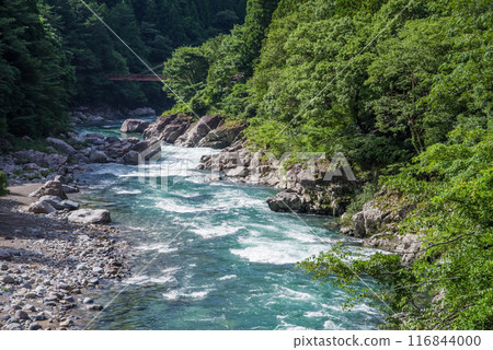 Clear summer stream (Itadori River, Gifu Prefecture) 116844000