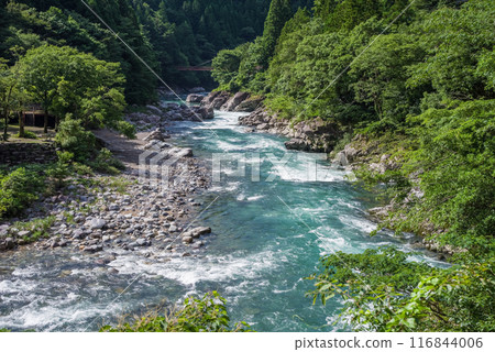 Clear summer stream (Itadori River, Gifu Prefecture) 116844006