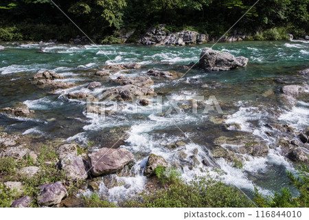 Clear summer stream (Itadori River, Gifu Prefecture) 116844010
