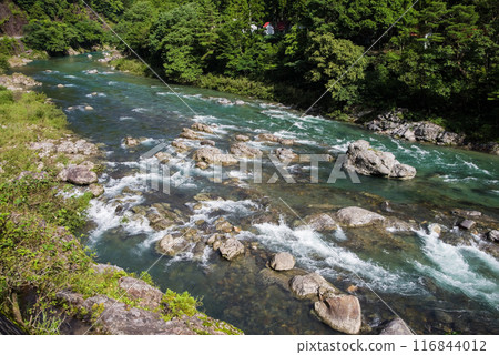 Clear summer stream (Itadori River, Gifu Prefecture) 116844012