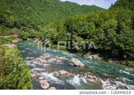 Clear summer stream (Itadori River, Gifu Prefecture) 116844019