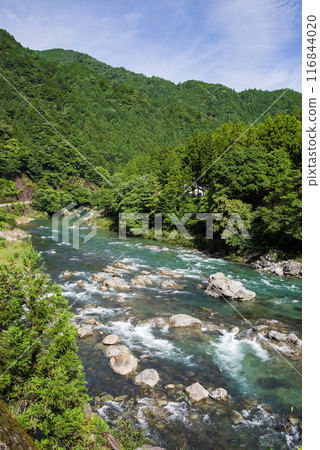 夏天的清流《岐阜縣板取川》 116844020