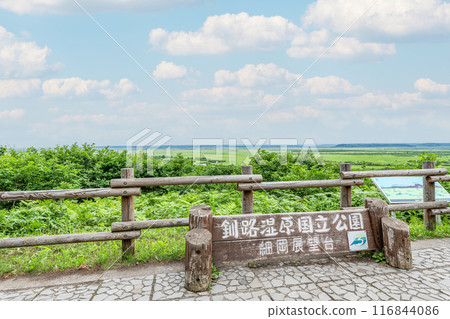 從北海道釧路町細岡展望台看夏天的釧路濕原國立公園 116844086