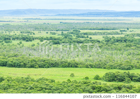 北海道的夏天，熱門旅遊勝地，被登錄為世界自然遺產的釧路濕原國立公園 116844107