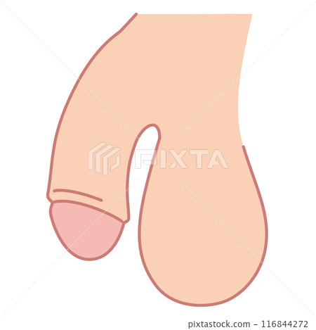 Male Reproductive System Medical Male Reproductive System Medical 116844272