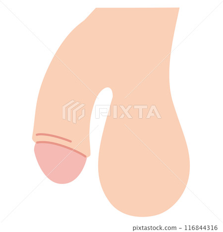 男性生殖器官醫療 男性生殖器官醫療 116844316