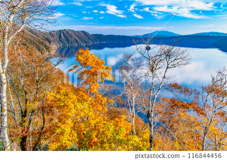 Hokkaido: Lake Mashu in autumn - The Mashu blue lake surface and the colorful autumn leaves Hokkaido: Lake Mashu in autumn - The Mashu blue lake surface and the colorful autumn leaves 116844456