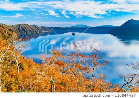 Hokkaido: Lake Mashu in autumn - The Mashu blue lake surface and the colorful autumn leaves 116844457
