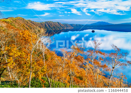 Hokkaido: Lake Mashu in autumn - The Mashu blue lake surface and the colorful autumn leaves 116844458