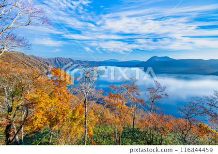 Hokkaido: Lake Mashu in autumn - The Mashu blue lake surface and the colorful autumn leaves 116844459
