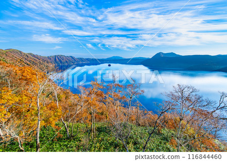北海道摩週湖的紅葉～藍色的摩週湖面和色彩繽紛的紅葉～ 116844460