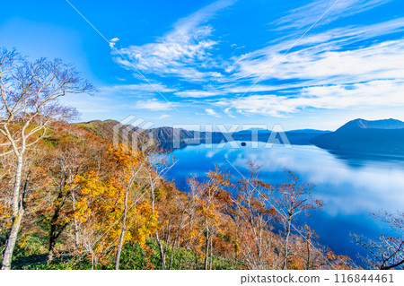北海道摩週湖的紅葉～藍色的摩週湖面和色彩繽紛的紅葉～ 116844461