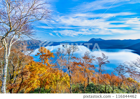北海道摩週湖的紅葉～藍色的摩週湖面和色彩繽紛的紅葉～ 116844462