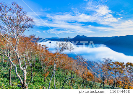Hokkaido: Lake Mashu in autumn - The Mashu blue lake surface and the colorful autumn leaves 116844468
