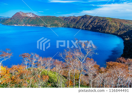 Hokkaido: Lake Mashu in autumn - The Mashu blue lake surface and the colorful autumn leaves 116844491