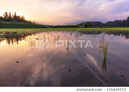 240615 Ueno-daira z090 240615 Ueno-daira z090 116844533