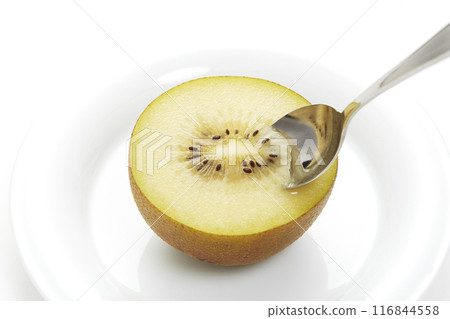 Gold Kiwi (Sun Gold) Gold Kiwi (Sun Gold) 116844558