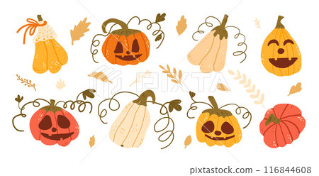Set of halloween pumpkins in various shapes and colors. Textured autumn holiday ripe veggies 116844608