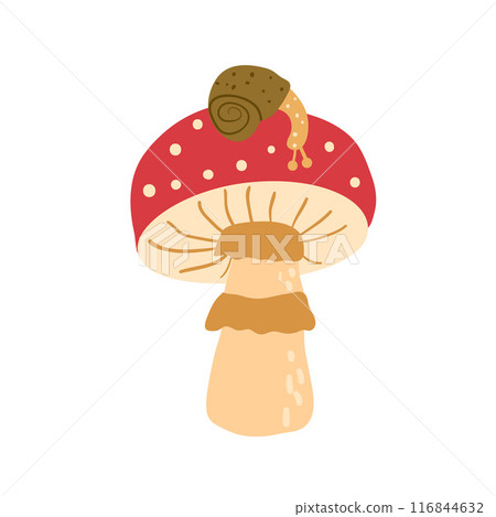 Fly agaric with snail on a cap isolated on white background. Vector hand drawn illustration 116844632