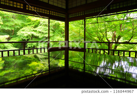 京都琉璃光院：映照在桌子上的柔和的藍色楓色 116844967