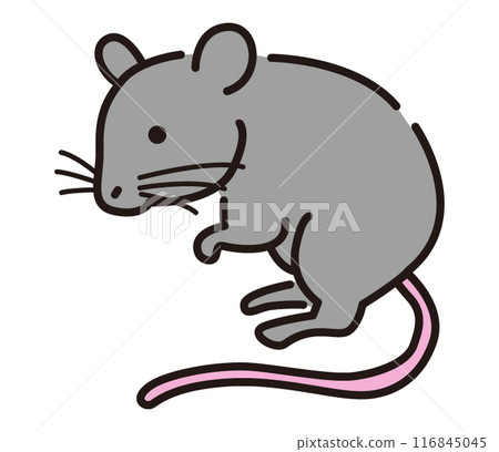 一隻老鼠 116845045