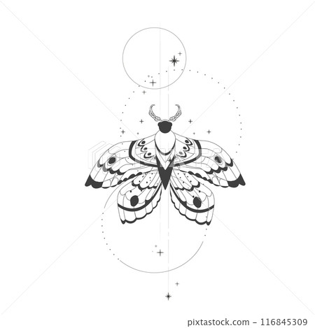 Magic mystic moth tattoo thin line in doodle style, Elegant celestial isolated, boho esoteric symbol, Buterfly with staers and moon  116845309