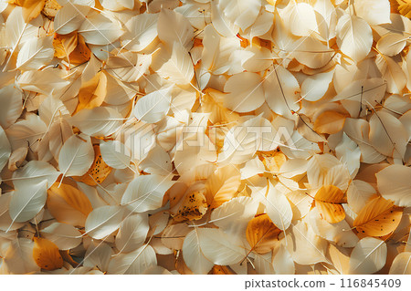 Fallen leaves texture-2 116845409