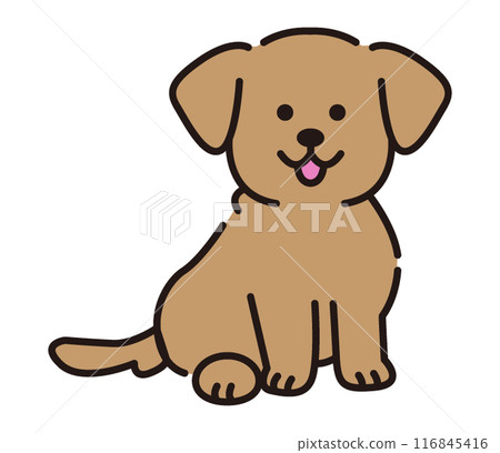 金毛獵犬 116845416