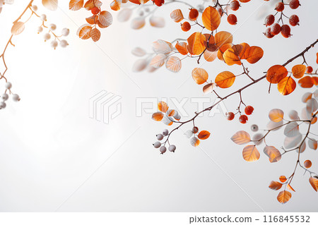 Autumn image background-2 Autumn image background-2 116845532