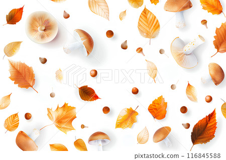 Fallen leaves and mushrooms texture-1 116845588