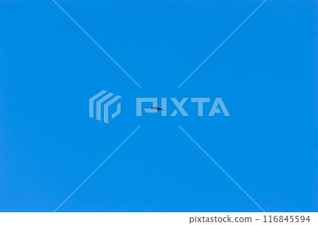 Black kite (lat. Milvus migrans) -bird flying in the blue sky, closeup photo with selective focus 116845594